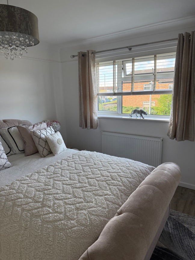 Cozy double room available! Main Photo