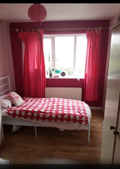 Room room available  Main Photo