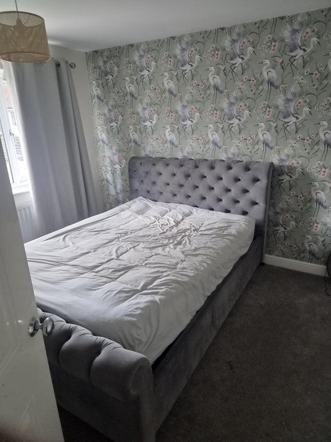 Double Room to Rent. Lovely quiet House & Garden Main Photo