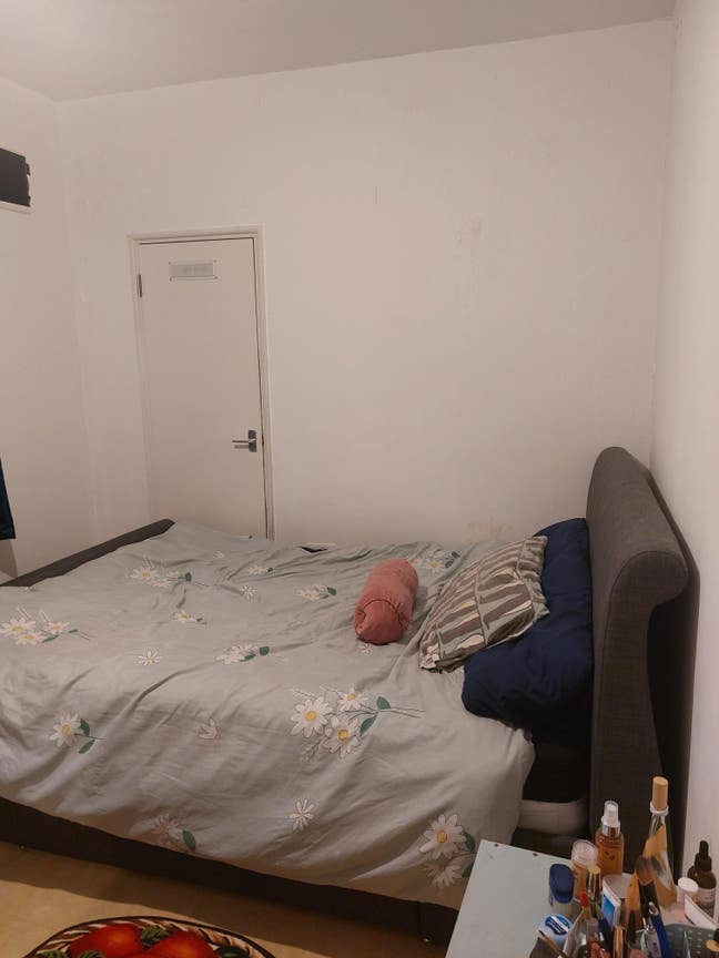 Rent double room in SW London to female or female  Main Photo