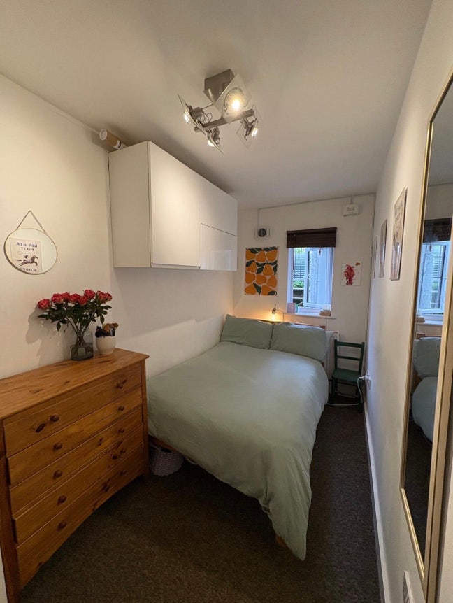 Room Available in friendly Hackney Down flat  Main Photo