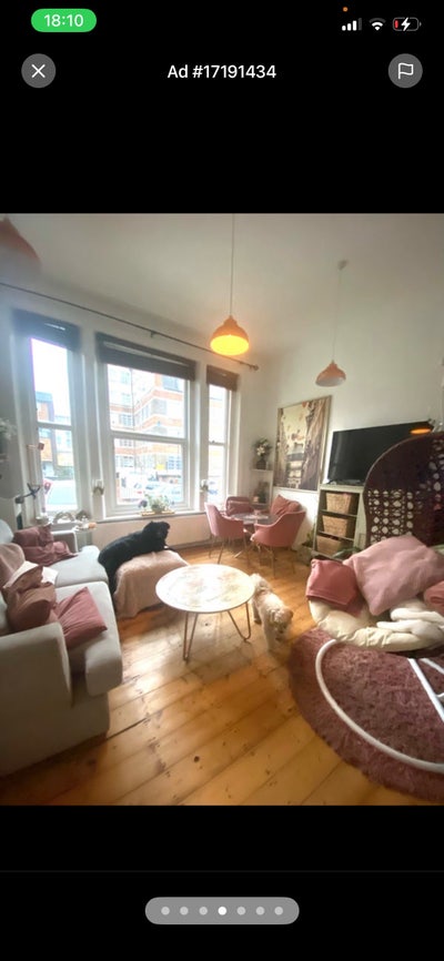 Move in 24th October - homely, friendly girly flat Main Photo