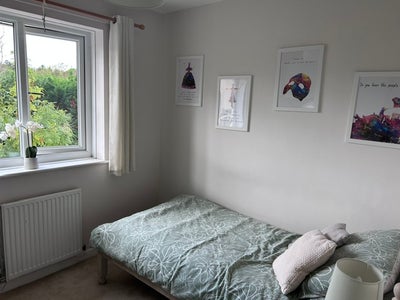 Single room to let in shared home Main Photo