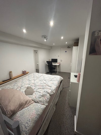 1 Bed basement flat (S11) Main Photo