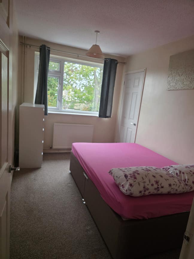 Furnished DouBLE Room Available aT BA3 Main Photo