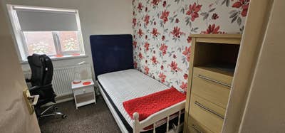 Single room avaiable in quiet, clean house Main Photo