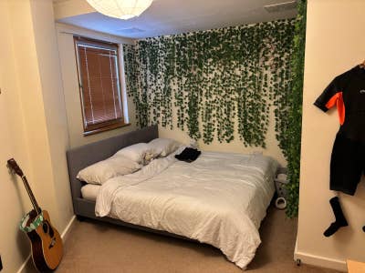 Looking for a new flatmate in Harbourside Flat Main Photo