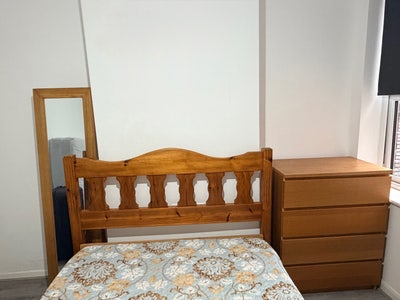 Double bedroom for rent for professional Main Photo