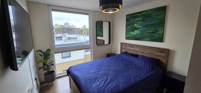 Double room in friendly Kennington/E&C  flat Main Photo