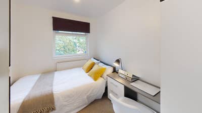 Ready to Move-in Now! Student & Professional Rooms Main Photo