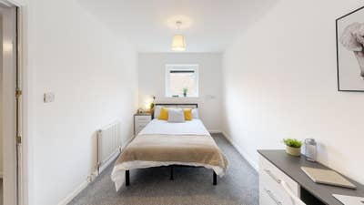 Ready to Move-in Now! Student & Professional Rooms Main Photo