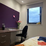 Student Roost Swansea – Tenancy Takeover Available Main Photo