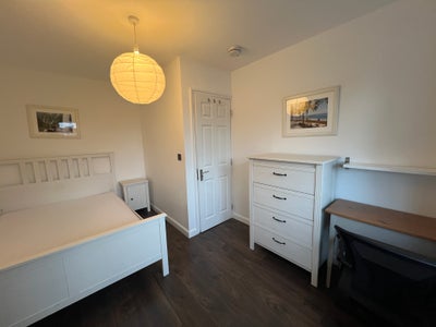 Beautiful Single and Double rooms- great location! Main Photo