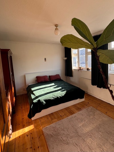 Sunny room in 3 person house share Main Photo