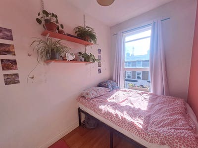 5 week sublet Main Photo