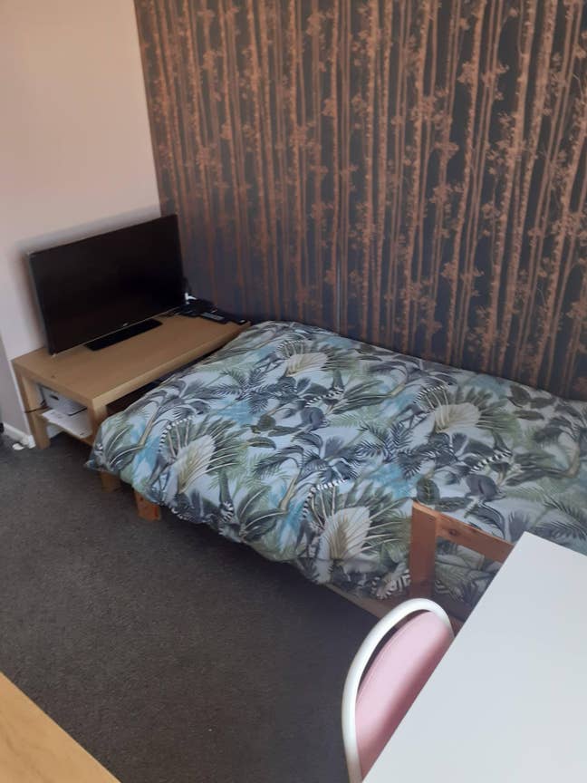 Single room for rent.  Main Photo