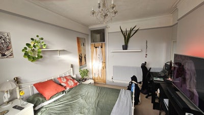 Room to let in quite flat  Main Photo