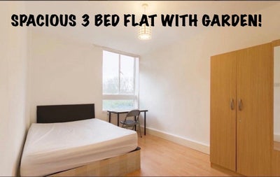 Spacious 3 Bed flat in central london + garden! Main Photo
