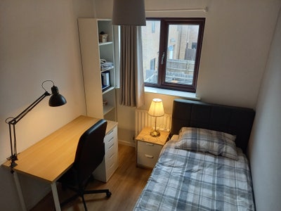 Room in Professional, Friendly Home Main Photo