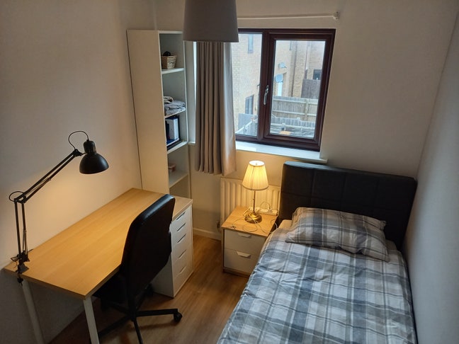 Room in Professional, Friendly Home Main Photo