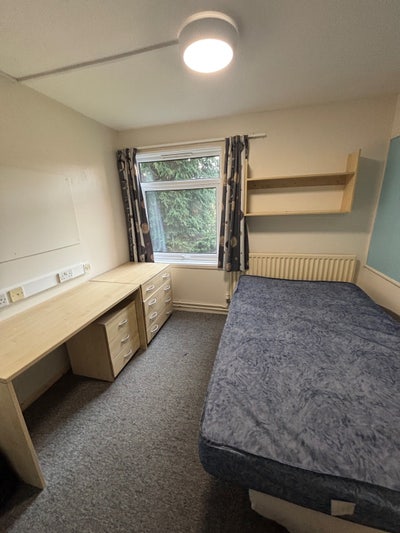 Cypress room  Main Photo