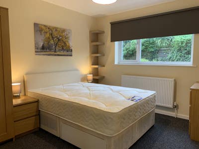 Bright and spacious double room to let. Main Photo