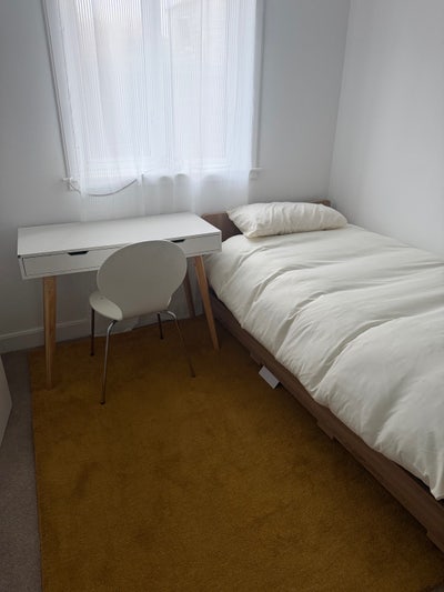 Fully furnished single room  Main Photo