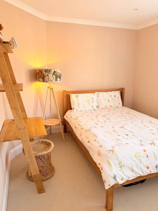 Spacious King Room in Renovated Bromley Home Main Photo