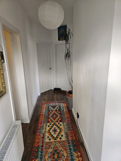 Lovely cosy home, looking for a new addition Main Photo