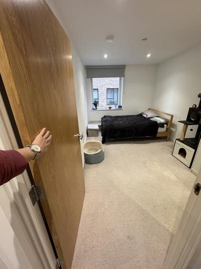 Pet-friendly en-suite 7min train from LondonBridge Main Photo