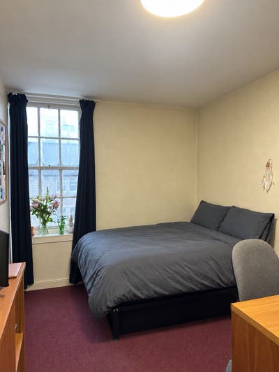 Spacious Room in Domus Nicolson Street Flat  Main Photo