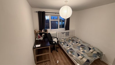 Room to rent  Main Photo