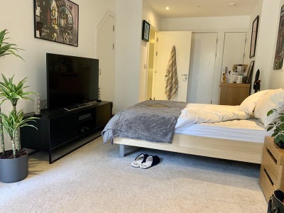 VERY large Double room w/ ensuite in East Village Main Photo