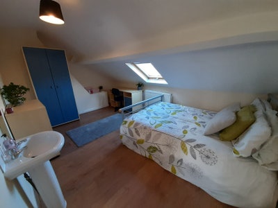High Quality  House Share Main Photo