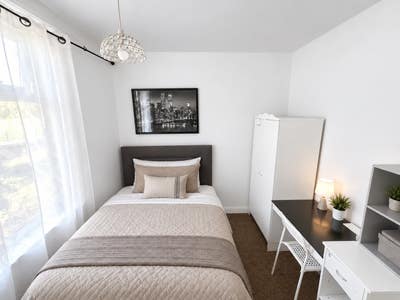✨Calm, Bright Single Bed - Near Wilmslow Rd Main Photo