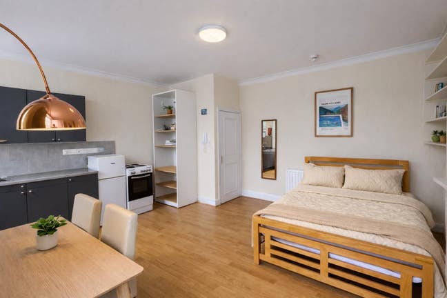 Newly Furnished Bright Double Bedsit in Chelsea Main Photo