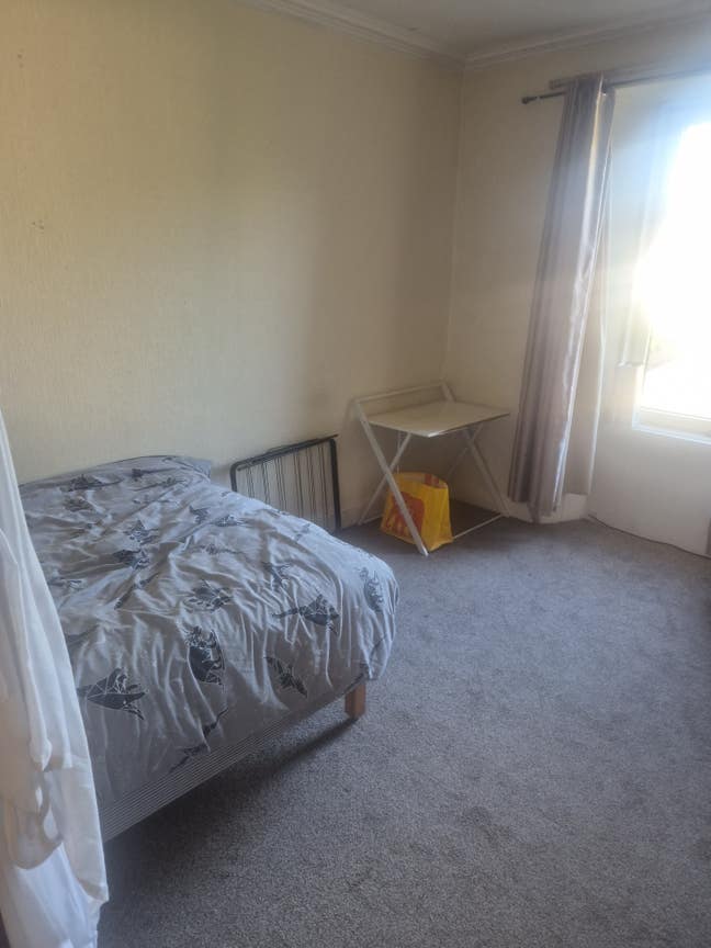 Looking for a new roommate Main Photo