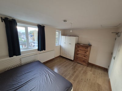 Perfect room for professionals only  Main Photo
