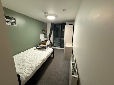 Single Ensuite Room in Sheffield City Centre Main Photo