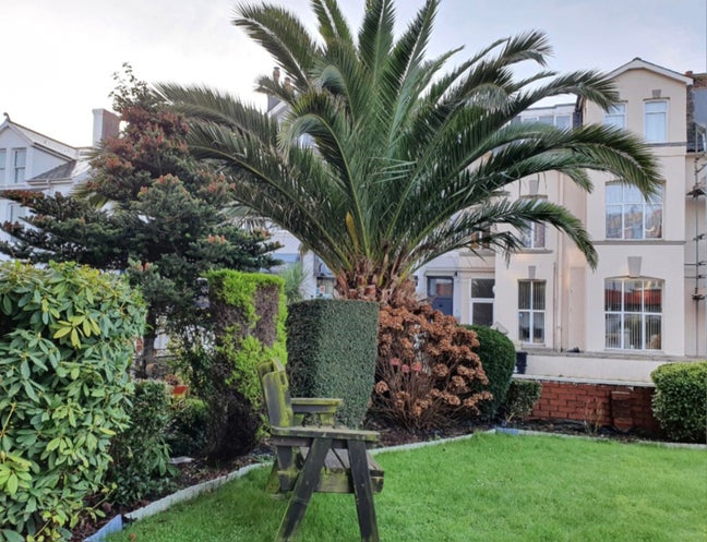 Single Room near Beach / Pier / Town Centre Main Photo