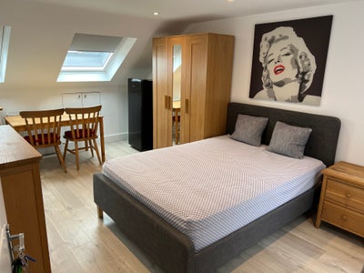 Spacious Studio Flats Main Photo