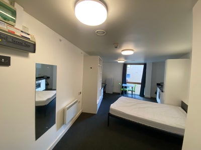 🏡 Studio Apartment Available – Fitzroy Court, Lut Main Photo