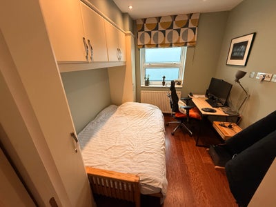 Double room in a garden flat, Kensal Green NW10 Main Photo