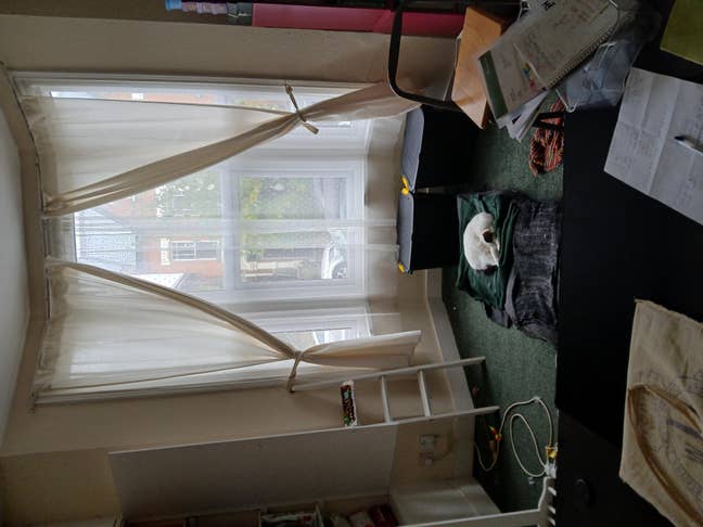 Friendly North London Garden Flat - Zone 2 Main Photo