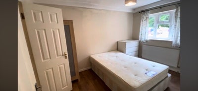 Spacious En-Suite Double Room Available Main Photo