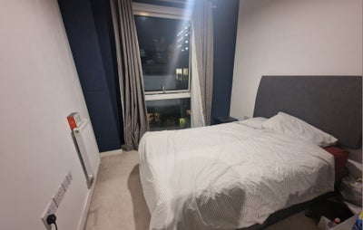 Double room for DOG LOVER.  Main Photo