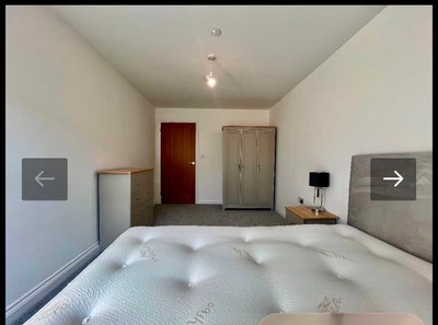 Room Available in a 2 bedroom shared apartment  Main Photo