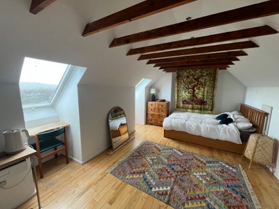 Spacious and Airy Attic Room in Family home Main Photo