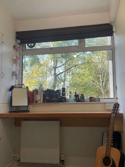 Single room to rent Main Photo