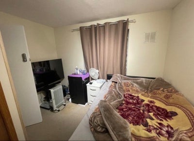 Nice lovely  Room for Rent Main Photo